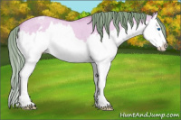 Horse Color:Watercolor Bay Roan Dun Splash Varnish 