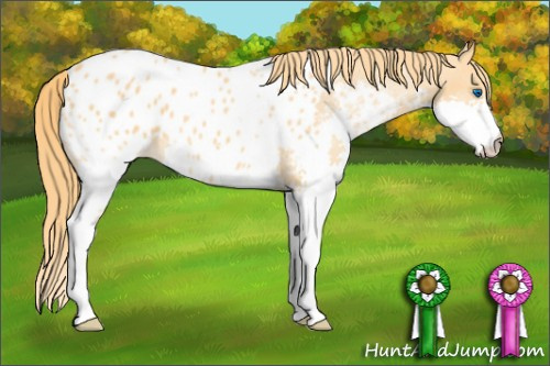 Horse Color: Chestnut Splash Blanket 