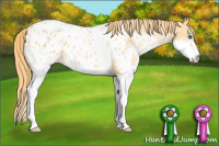 Horse Color:Chestnut Splash Blanket 