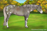 Horse Color:Silver Black Sabino 
