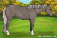 Horse Color:Silver Black 