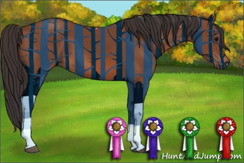 Horse Color: Bay 