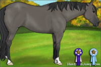 Horse Color:Brown Dun