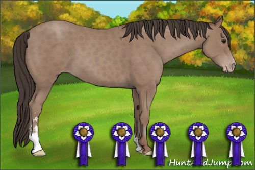 Horse Color: Classic Champagne Sabino 