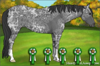 Horse Color:Blue Ice Roan 