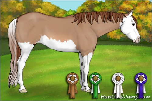 Horse Color: Liver Red Dun Splash 