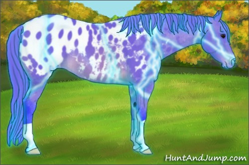 Horse Color: Thunderstruck Watercolor Buckskin Blanket 