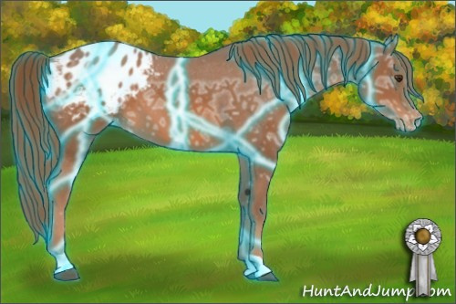 Horse Color: Thunderstruck Liver Chestnut Ice Blanket 