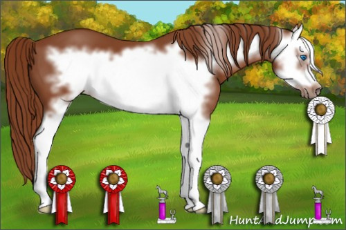 Horse Color: Liver Chestnut Splash Frame 