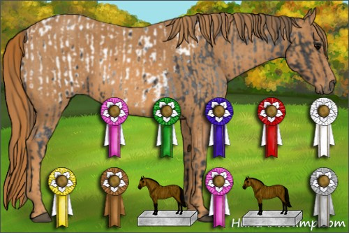 Horse Color: Brown Roan Blanket Rabicano  Brindle