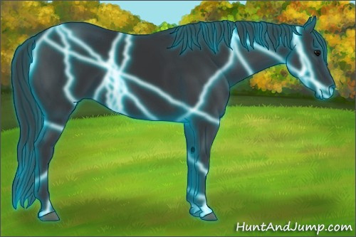 Horse Color: Thunderstruck Black 