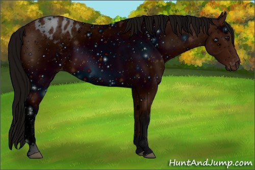 Horse Color: ERROR: UNKNOWN ANOMALY