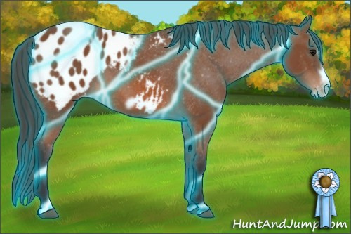 Horse Color: Thunderstruck Bay Frame Blanket 