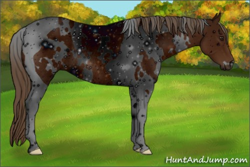 Horse Color: ERROR: UNKNOWN ANOMALY