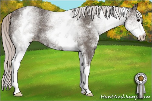 Horse Color: White Spotted Silver Black 