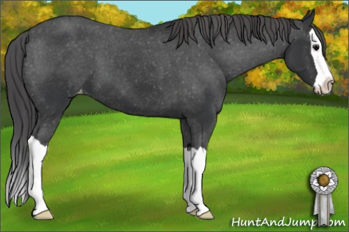 Horse Color: Black Splash Blanket 