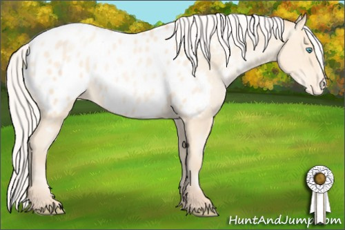 Horse Color: Silver Amber Cream Champagne Roan Pearl Near Leopard 