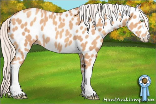 Horse Color: Silver Amber Champagne Leopard 