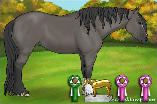 Horse Color: Grullo 