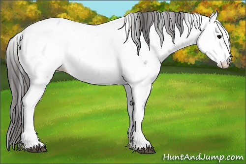 Horse Color: White Spotted Grullo Fewspot 