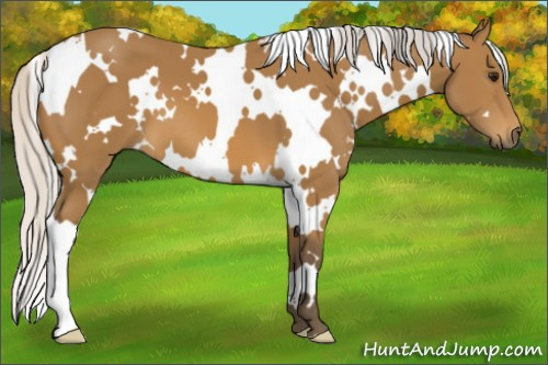 Horse Color: White Spotted Silver Buckskin 