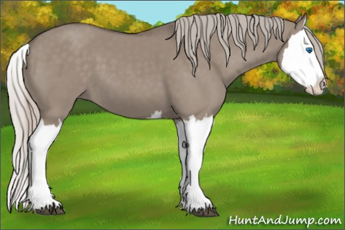 Horse Color: Silver Grullo Splash 