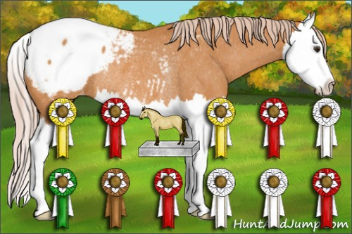 Horse Color: Chocolate Palomino Splash Snowcap Rabicano 