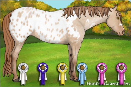 Horse Color: Brown Pearl Dun Blanket Rabicano 