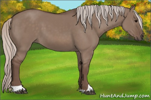 Horse Color: Silver Grullo 