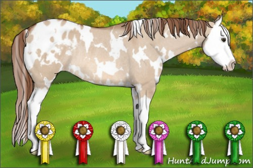 Horse Color: White Spotted Liver Red Dun Splash Blanket Rabicano 