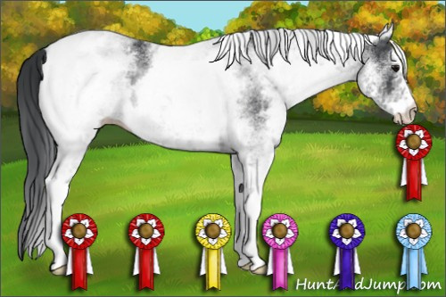 Horse Color: White Spotted Black 