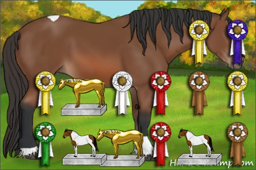 Horse Color: Bay Tobiano 