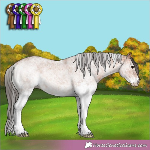 Horse Color: White Spotted Bay 