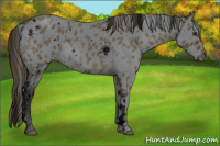 Horse Color:ERROR: UNKNOWN ANOMALY