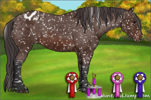 Horse Color: Bay Blanket 