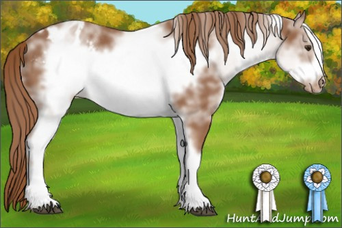 Horse Color: White Spotted Liver Chestnut Frame Blanket 