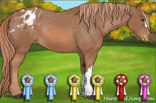 Horse Color: Liver Chestnut Blanket Rabicano 