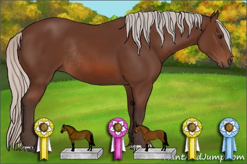 Horse Color: Silver Bay Rabicano 
