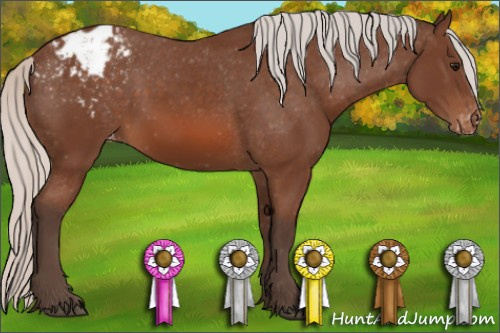 Horse Color: Silver Bay Blanket Rabicano 