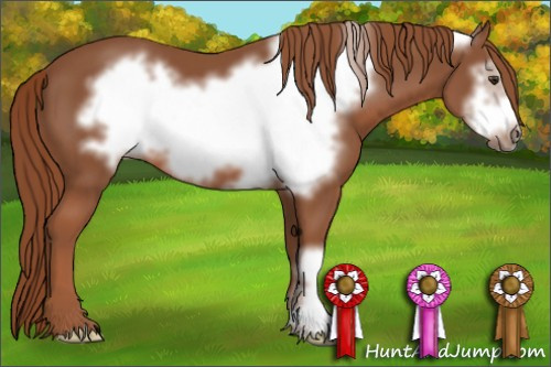 Horse Color: Liver Chestnut Frame 