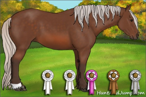 Horse Color: Silver Bay 