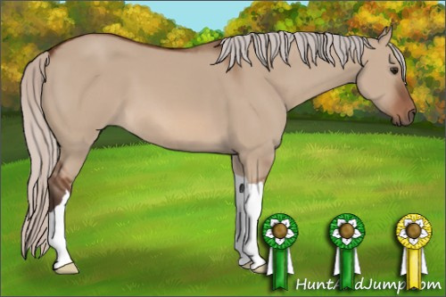 Horse Color: Unknown 