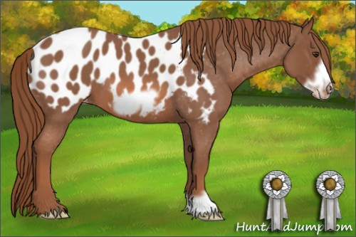 Horse Color: Liver Red Roan Frame Blanket 