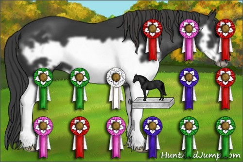 Horse Color: Black Splash Frame 