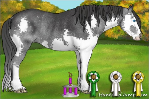 Horse Color: Brown Splash Rabicano 