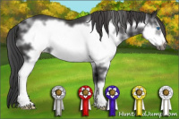 Horse Color:Black Splash Frame 