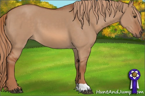 Horse Color: Liver Red Dun 