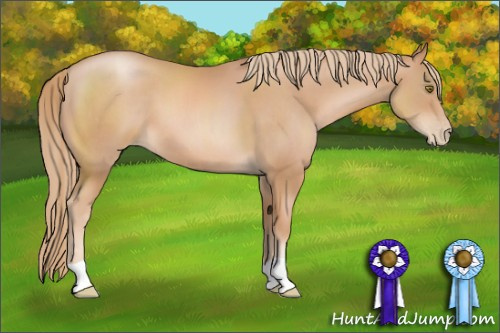 Horse Color: Chestnut Pearl 
