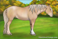 Horse Color:Chestnut Pearl