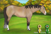 Horse Color:Bay Dun Splash 